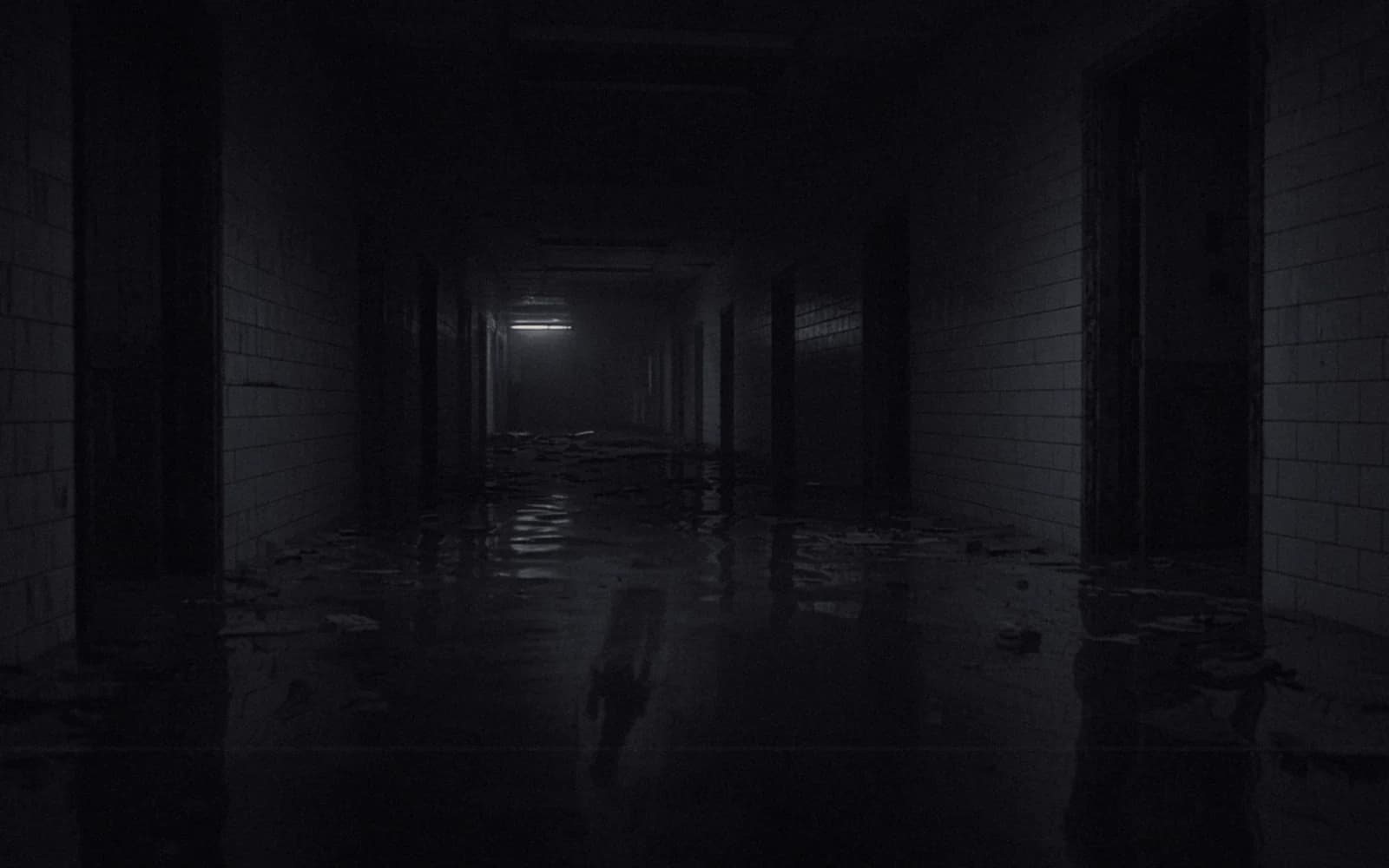 Dark silhouette of a long, distorted figure reflected in flooded water, labeled planned.
